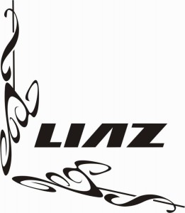 samolepka Dekor LIAZ 616