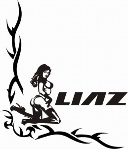 samolepka Dekor LIAZ 620